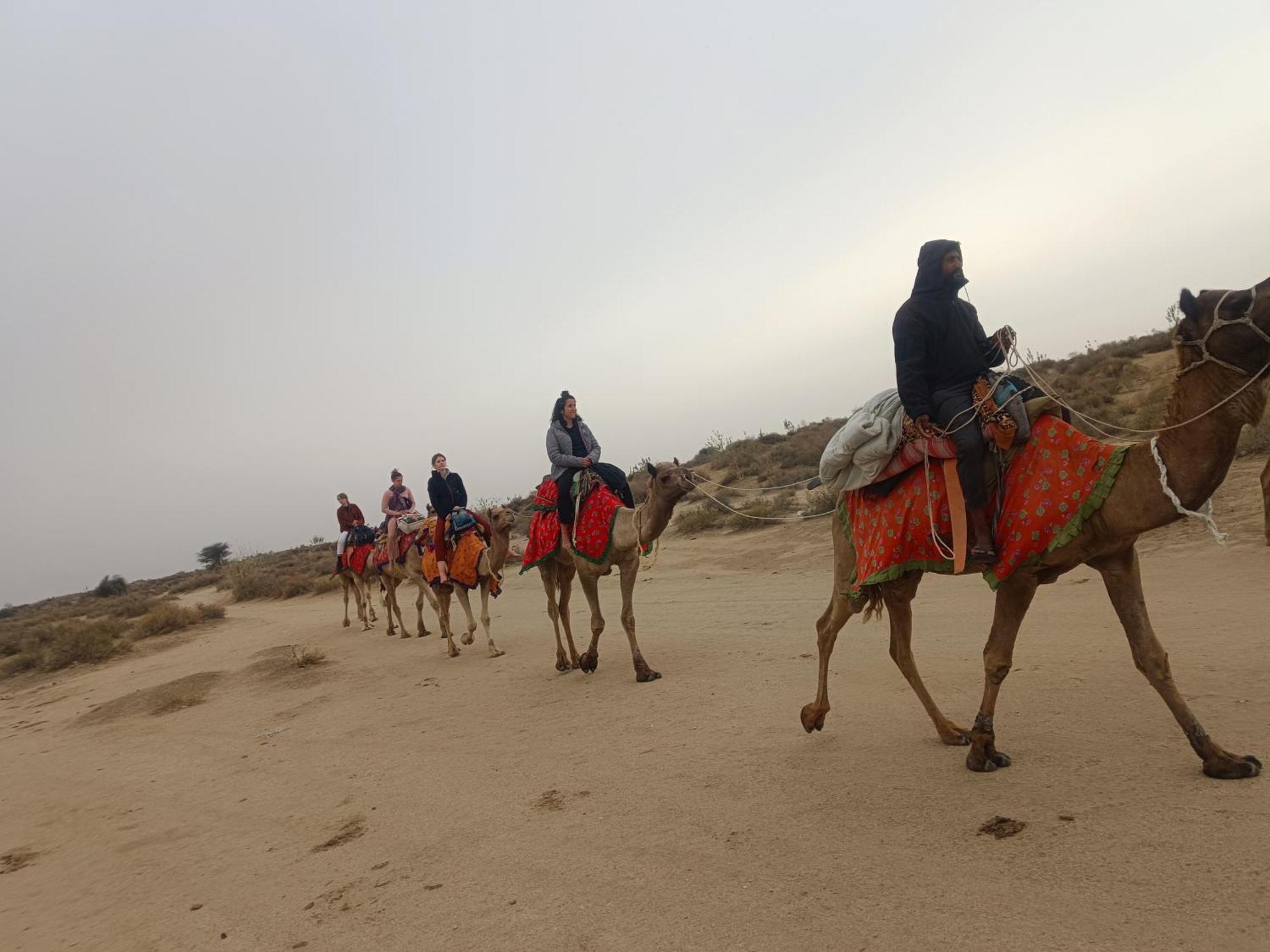 Ideal Guest House Jaisalmer Bagian luar foto