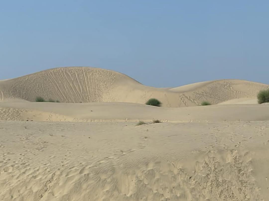 Ideal Guest House Jaisalmer Bagian luar foto